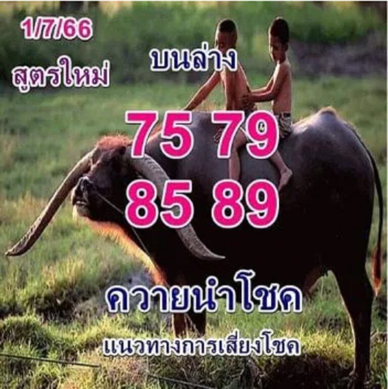 หวยควายนำโชค